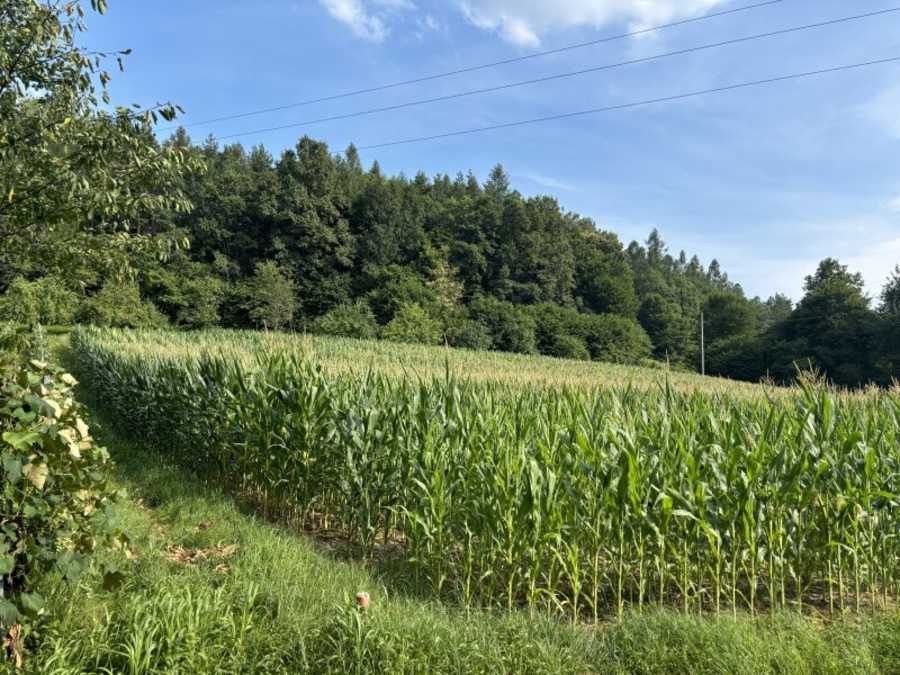 Immobilie: Baugrundstück in 7561 Heiligenkreuz im Lafnitztal