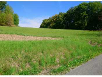 Baugrundstück Edelstauden