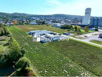 Grundstück Mannersdorf am Leithagebirge